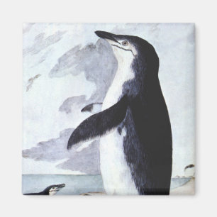 Aimant Vintage Chinstrap Penguin, Birds from Antarctica