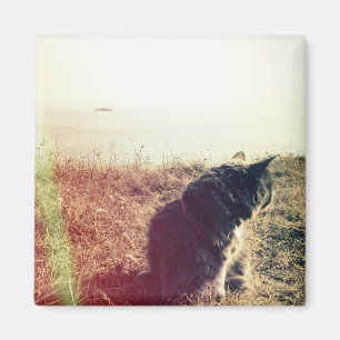 Aimant vintage de chat