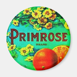 Aimant Vintage oranges fruits publicité étiquette floral