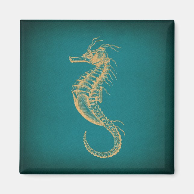 Aimant Vintage Seahorse (Devant)