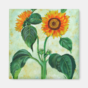 Aimant Vintage Sunflowers Botanical Art