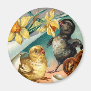 Aimant Vintages poussins aux fleurs jaunes Salutation de