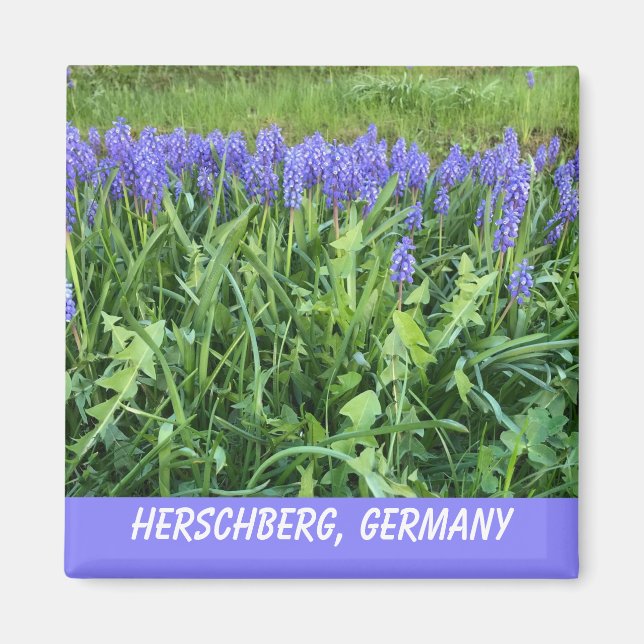 Aimant Violet Bluebell (Devant)