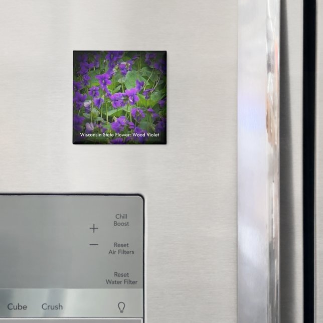 Aimant Violet de bois en vedette Fleur d'État Wisconsin (In situ (réfrigérateur))