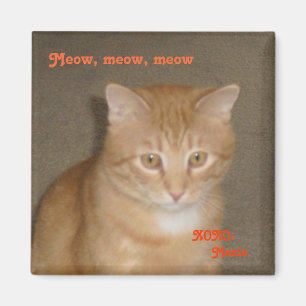 Aimant Visage triste