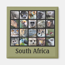 Visages animaux sauvages — Mammifères, Reptiles, O
