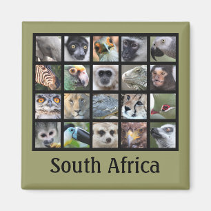 Aimant Visages animaux sauvages — Mammifères, Reptiles, O