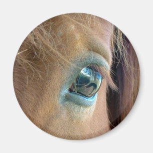 Aimant Vision de cheval