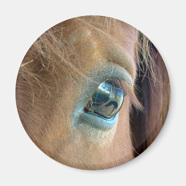 Aimant Vision du cheval (Devant)
