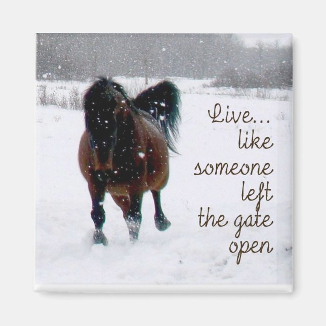 Aimant Vivez la vie ! (Devant)