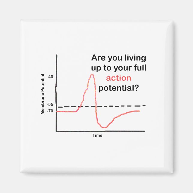 Aimant Vivre Jusqu'À Votre Plein Potentiel (Devant)
