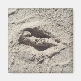 Aimant Voie de cerfs