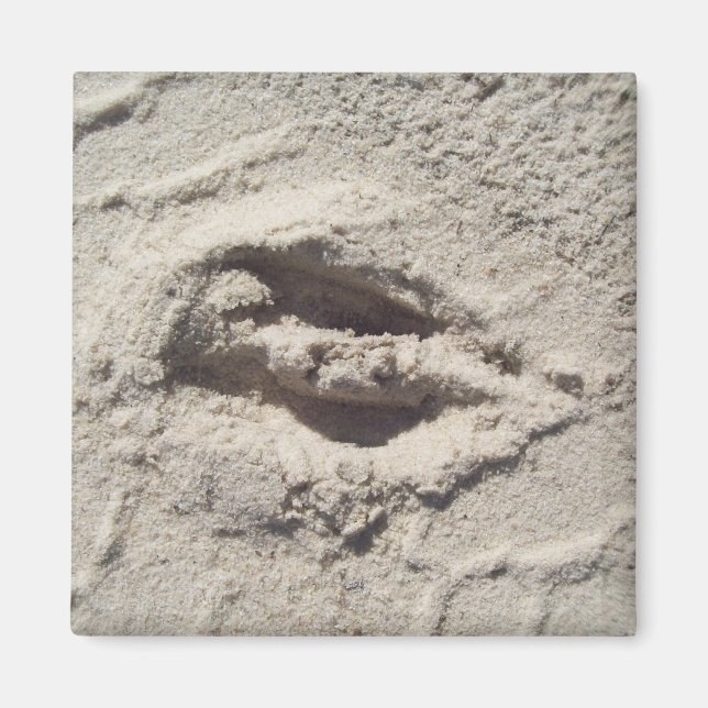 Aimant Voie de cerfs (Devant)