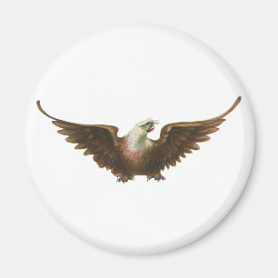 Aimant Vol américain d'oiseau d'Eagle chauve de