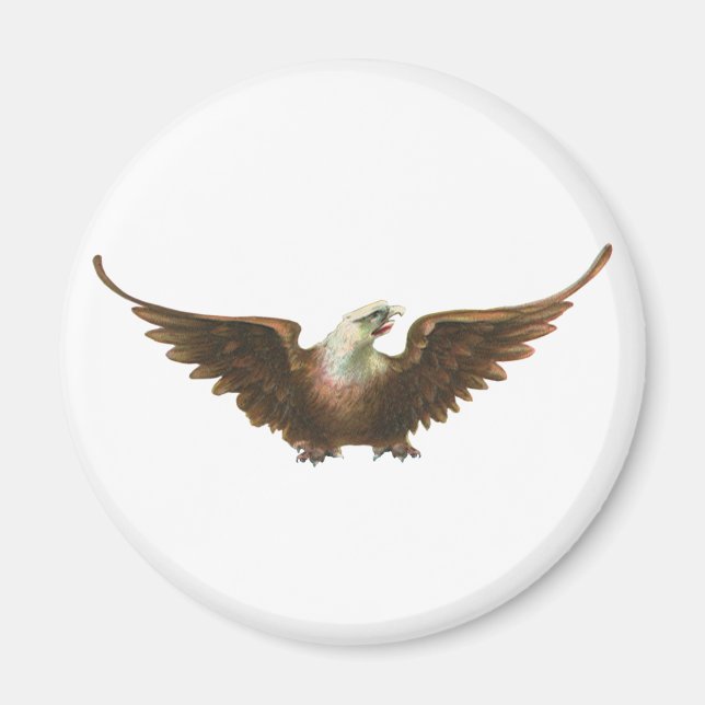 Aimant Vol américain d'oiseau d'Eagle chauve de (Devant)