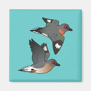 Aimant Vol de passagers Pigeon