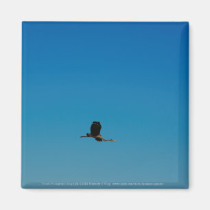 Aimant Volant