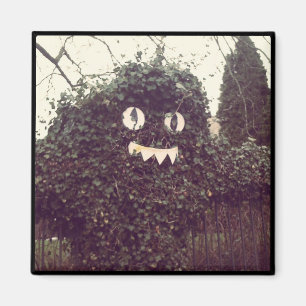 Aimant Voodoo Bush