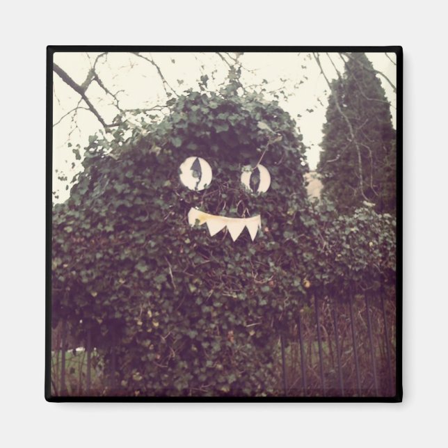 Aimant Voodoo Bush (Devant)