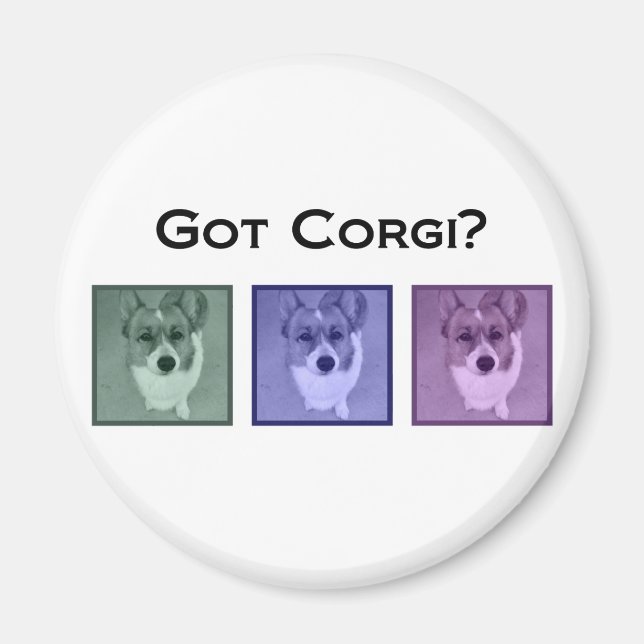 Aimant Vous avez Corgi ? Cute Corgis (Devant)