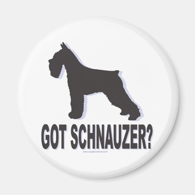 Aimant Vous avez Schnauzer ? (Devant)