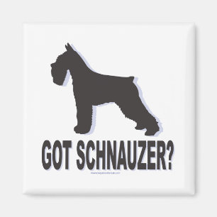 Aimant Vous avez Schnauzer ?