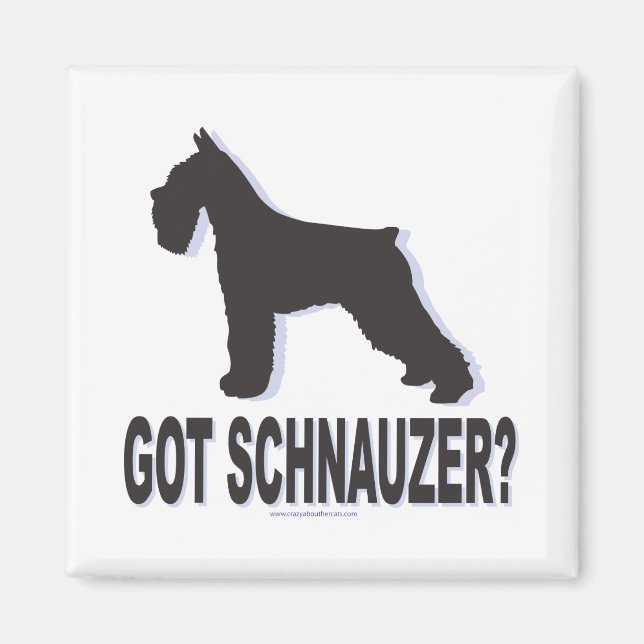 Aimant Vous avez Schnauzer ? (Devant)