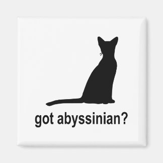 Aimant Vous avez un Abyssinien ?