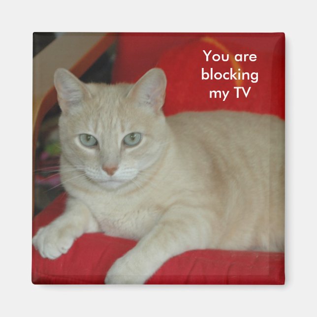 Aimant Vous bloquez ma télé (Devant)