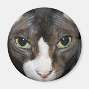 Aimant Vous regarder