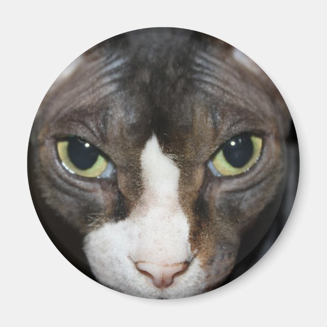 Aimant Vous regarder (Devant)