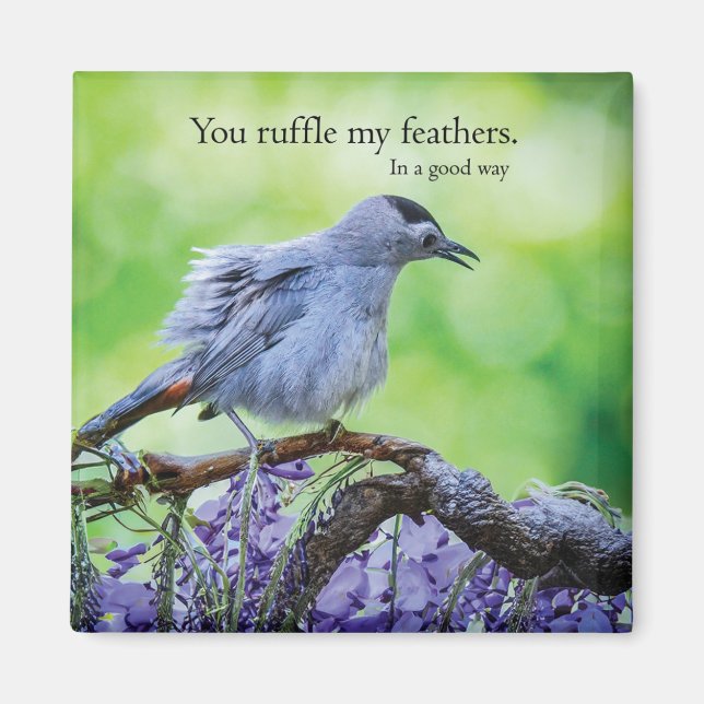 Aimant Vous Rufflez Mes Plumes D'une bonne façon (Devant)