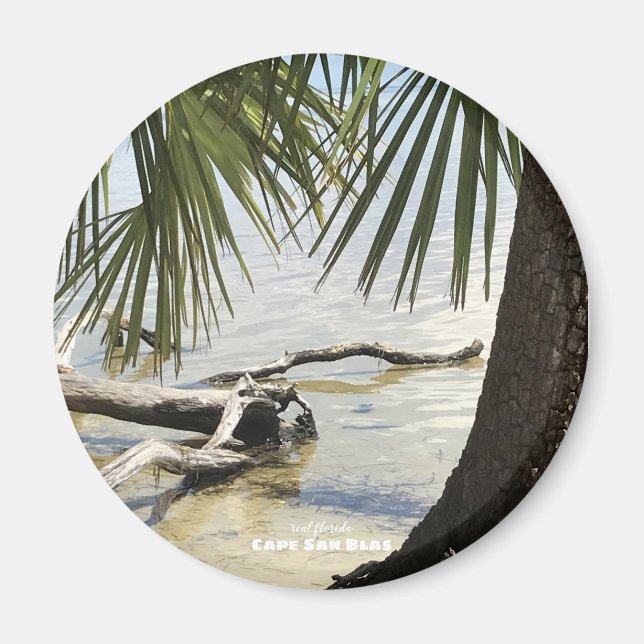 Aimant Voyage | Floride - Cape San Blas Driftwood Beach (Devant)