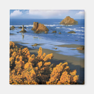 Aimant Vue de la plage de l'Oregon à Bandon