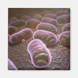 Aimant Vue microscopique des bactéries