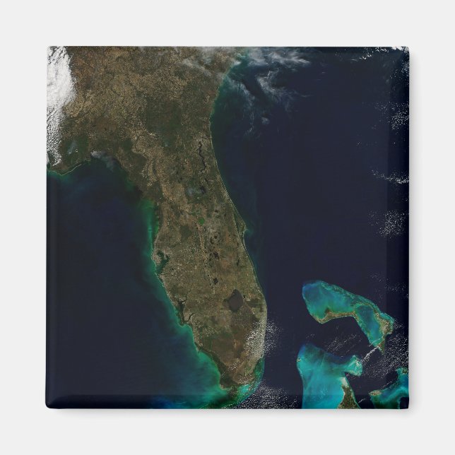 Aimant Vue Satellite Sur La Floride. (Devant)