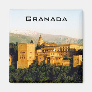 Aimant vue sur l'allambra granada