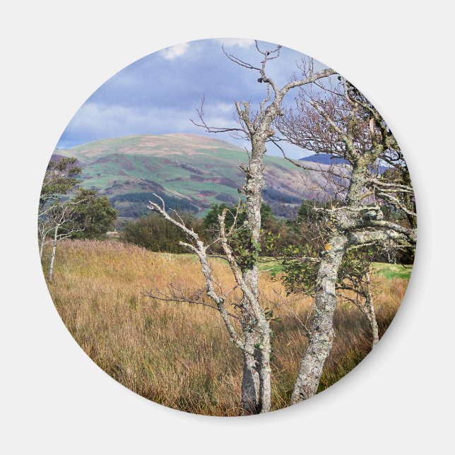 AIMANT VUES DES ALLES (Devant)