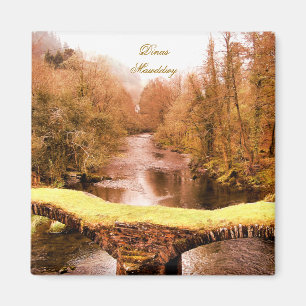 AIMANT VUES DES ALLES