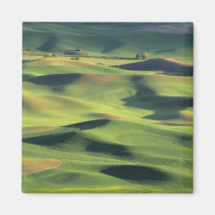 Aimant WA, comté de Whitman, terres agricoles de Palouse,