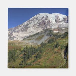 Aimant WA, Parc national du mont Rainier, vue depuis