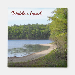 Aimant Walden Pond, Concord, MA