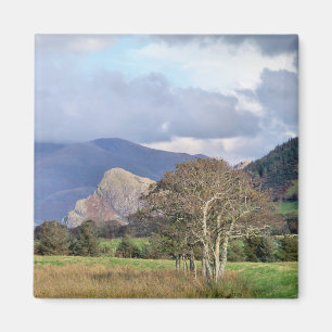 AIMANT WALES