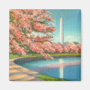 Aimant Washington