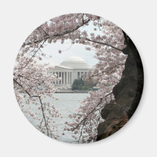 Aimant Washington DC de fleurs de cerisier