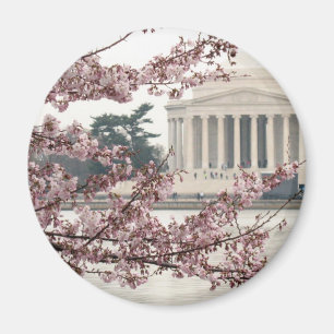 Aimant Washington DC de fleurs de cerisier