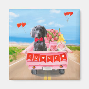 Aimant Weimaraner Chien Valentine's Day Coeurs de camion