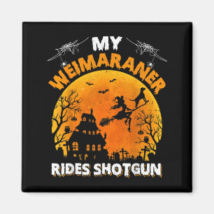 Aimant Weimaraner fait du cheval drôle Chien Weimaraner