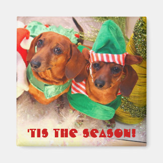 Aimant Weiner Chien Elfe de Noël