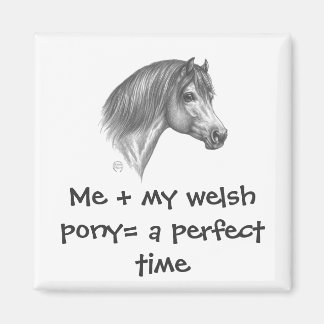 Aimant Welsh Pony & Cob Society of America